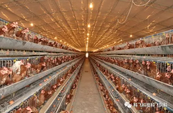 640.webp (7).jpg 640.webp (7).jpg