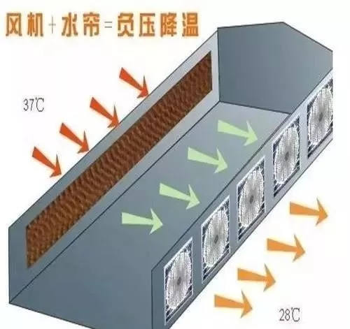 640.webp (9).jpg 640.webp (9).jpg