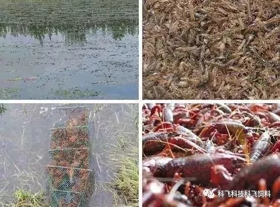 640.webp (1).jpg 640.webp (1).jpg