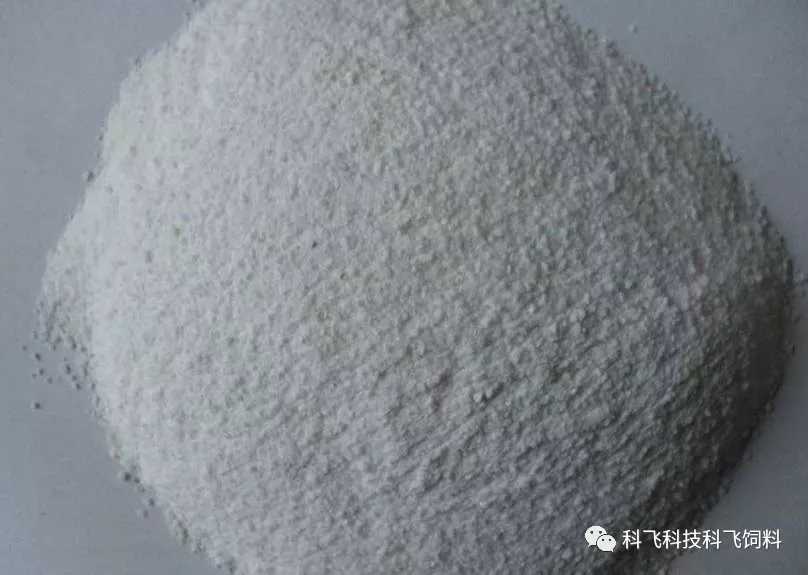 640.webp (7).jpg 640.webp (7).jpg