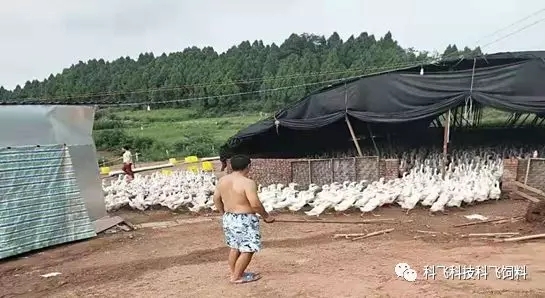 640.webp (4).jpg 640.webp (4).jpg