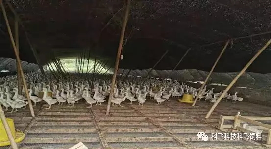 640.webp (3).jpg 640.webp (3).jpg