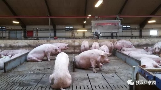 640.webp.jpg 640.webp.jpg