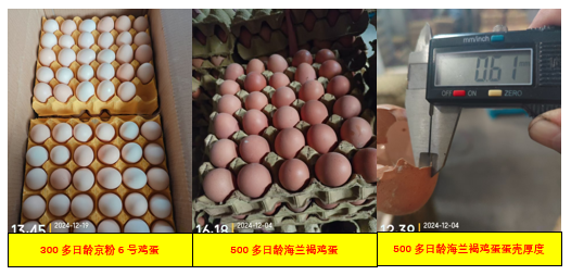 2.png 2.png